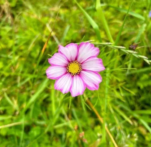 Currach Ban Apartament