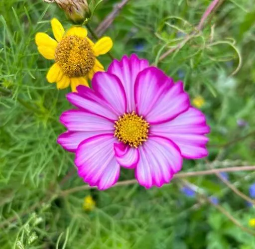 Lejlighed Currach Ban *